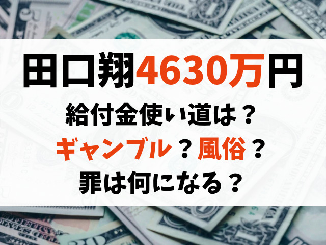 田口翔の給付金4630万円の使い道は？持ち逃げの罪は何かも調査！