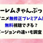 ハーレムキャンプ無修正のプレミアム完全版は無料視聴できる?規制解除の違いも調査!