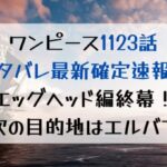 ワンピース1123話ネタバレ確定速報！エッグヘッド編終幕！次の目的地はエルバフ