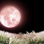 6月の夜空に浮かぶ“ストロベリームーン”とは？その意味・由来・見どころを徹底解説！