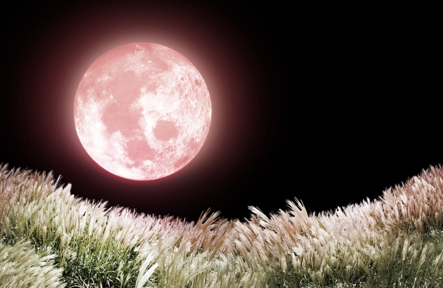 6月の夜空に浮かぶ“ストロベリームーン”とは？その意味・由来・見どころを徹底解説！
