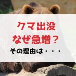 熊の出没が増加中！出没が増えているのはどうして？5つの理由と私たちができる対策
